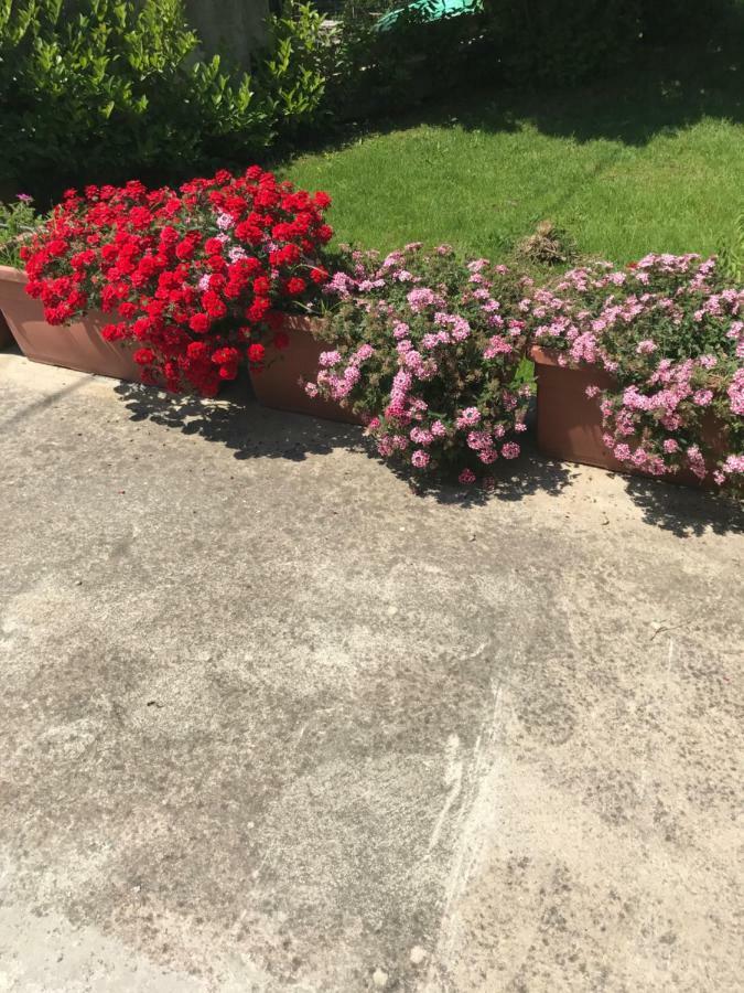 Adema Bed & Breakfast